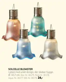 Daells Bolighus SOLCELLE BLOMSTER tilbud