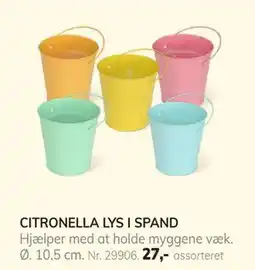 Daells Bolighus CITRONELLA LYS I SPAND tilbud