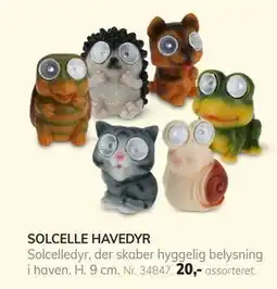Daells Bolighus SOLCELLE HAVEDYR tilbud