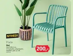BigDollar Stol tilbud