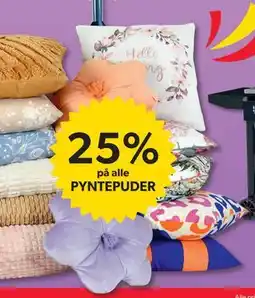BigDollar 25%. på alle PYNTEPUDER tilbud