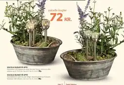 Daells Bolighus SOLCELLE KUGLER PÅ SPYD ELLER SOLCELLEBLOMST PÅ SPYD tilbud