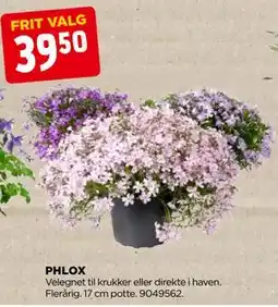 jem & fix PHLOX tilbud