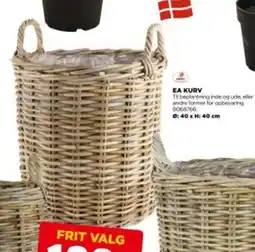 Ea kurv