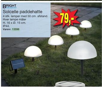 Harald Nyborg Solcelle paddehatte tilbud