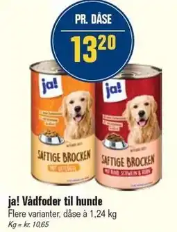Otto Duborg ja! Vådfoder til hunde tilbud