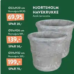 Plantorama HJORTSHOLM HAVEKRUKKE tilbud