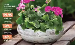 Plantorama URUP HAVEKRUKKE tilbud