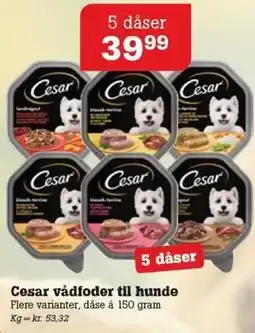 Poetzsch Padborg Cesar vådfoder til hunde tilbud