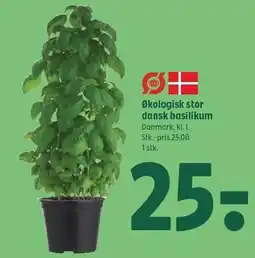 Coop 365 Økologisk stor dansk basilikum tilbud