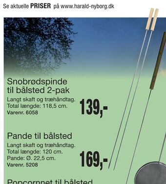 Harald Nyborg Snobrødspinde til bålsted 2-pak tilbud