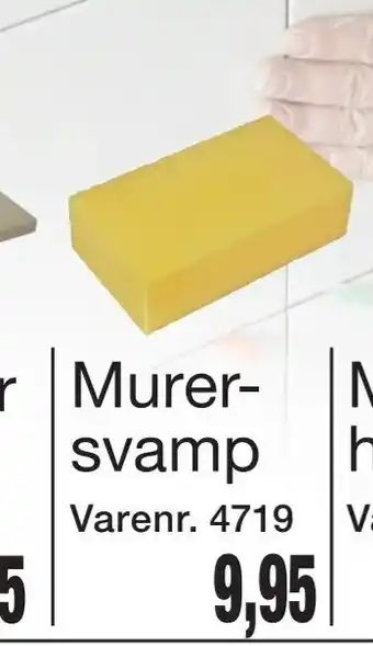 Murer svamp