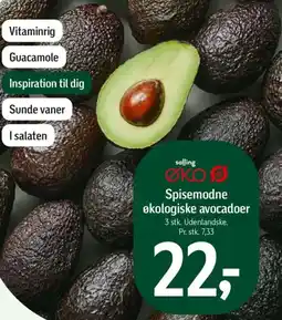 Føtex SALLING OKO Spisemodne økologiske avocadoer tilbud
