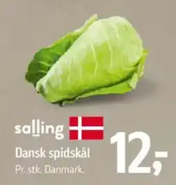 Føtex SALLING Dansk spidskål tilbud