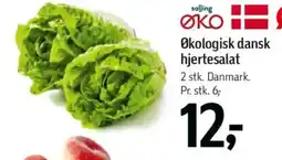 Føtex SALLING Økologisk dansk hjertesalat tilbud
