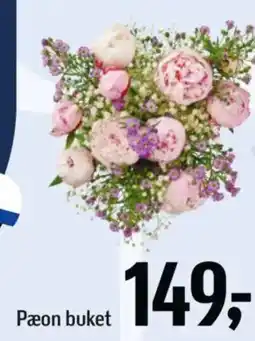 Føtex Pæon buket tilbud