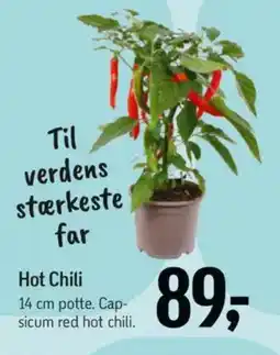 Føtex Hot chili tilbud