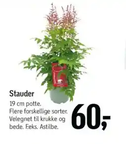 Føtex Stauder tilbud