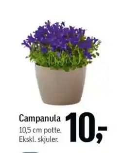 Føtex Campanula tilbud