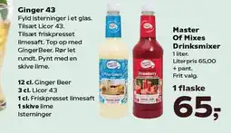 Kvickly Master Of Mixes Drinksmixer tilbud
