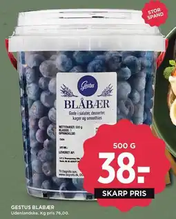 MENY GESTUS BLÅBÆR tilbud