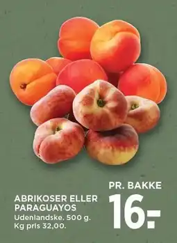 MENY ABRIKOSER ELLER PARAGUAYOS tilbud