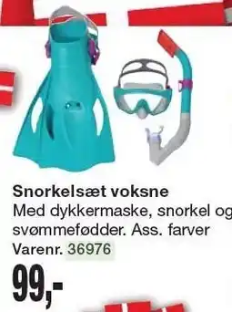 Harald Nyborg Snorkelsæt voksne tilbud