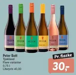 Fakta Tyskland Peter Bott tilbud