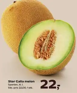 Kvickly Stor Galia melon tilbud