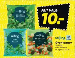 Bilka SALLING Grøntsager tilbud