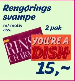 Rengørings svampe