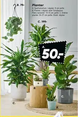 Bilka Planter tilbud