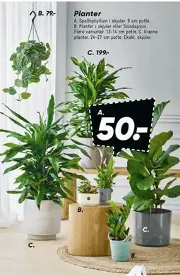 Bilka Planter tilbud
