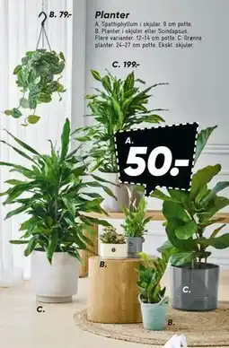 Bilka Planter tilbud
