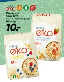 Økologiske havregryn