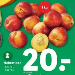 Lidl Nektariner tilbud