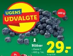 Lidl Blåbær tilbud