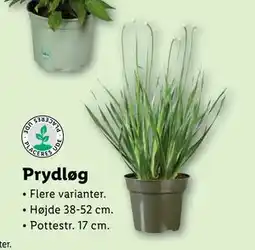 Lidl Prydløg tilbud