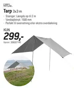Thansen Tarp tilbud