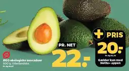 Netto ØGO økologiske avocadoer tilbud