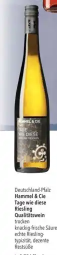 Citti Deutschland-Pfalz Hammel & Cie Tage wie diese tilbud