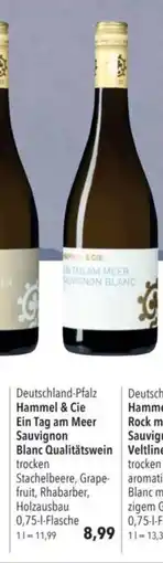 Citti Deutschland-Pfalz Hammel & Cie Rock me Amadeus Ein Tag am Meer Sauvignon Blanc Qualitätswein trocken tilbud