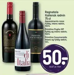 REMA 1000 Ragnatela Italiensk rødvin 75 cl tilbud