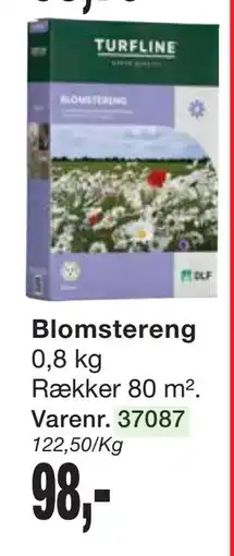 Harald Nyborg Blomstereng tilbud
