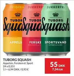 Nielsen's Discount TUBORG SQUASH tilbud