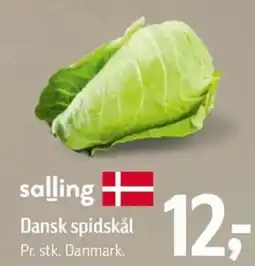 Føtex Salling dansk spidskål tilbud