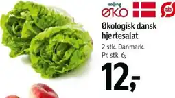 Føtex Økologisk dansk hjertesalat tilbud
