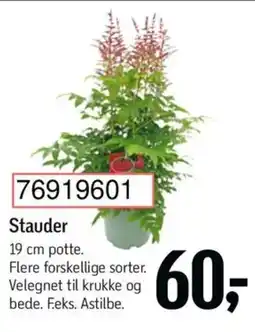 Føtex Stauder tilbud
