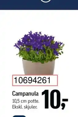 Føtex Campanula tilbud