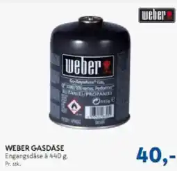 Davidsen WEBER GASDÅSE tilbud